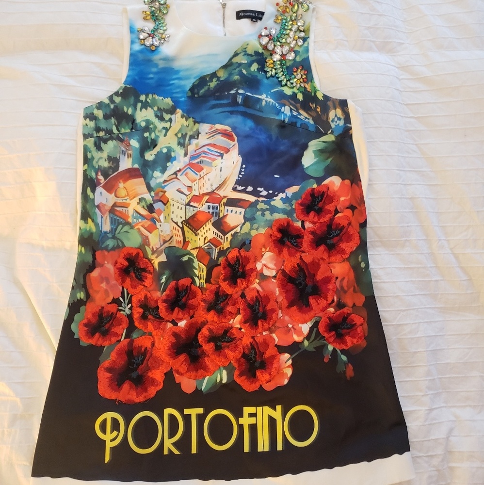 Dolce Gabbana Inspired dress